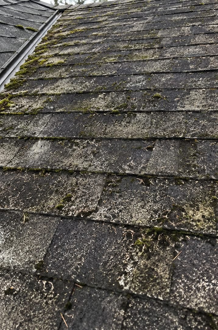 Roof before cleaning, thick with moss and lichen